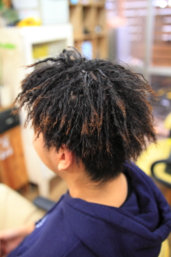 ツイストドレッド 498