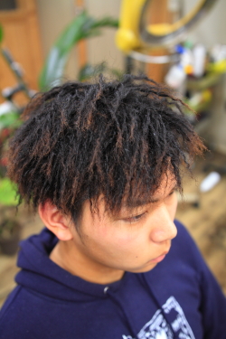 ツイストドレッド 500