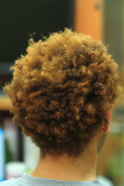 ツイストドレッド 547