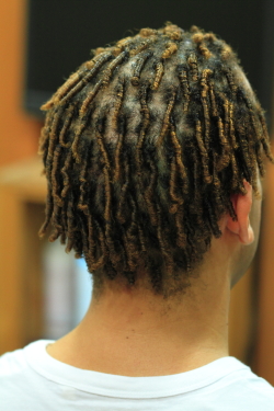 ツイストドレッド 550