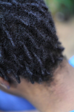 ツイストドレッド 582