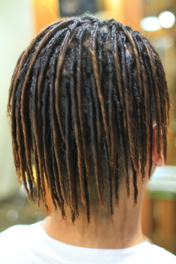 ツイストドレッド 790