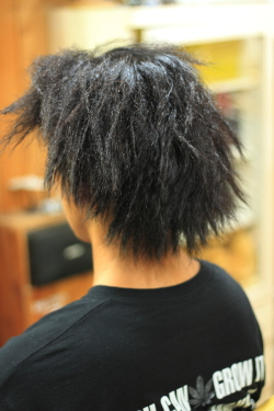 ツイストドレッド 813